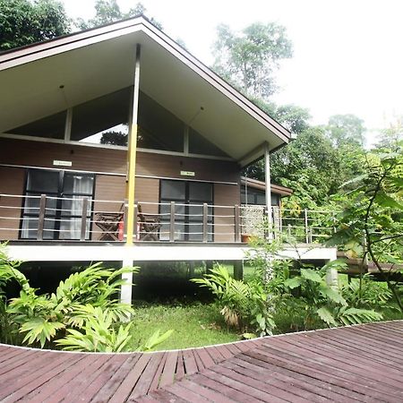 Mulu National Park Hotel Exterior foto