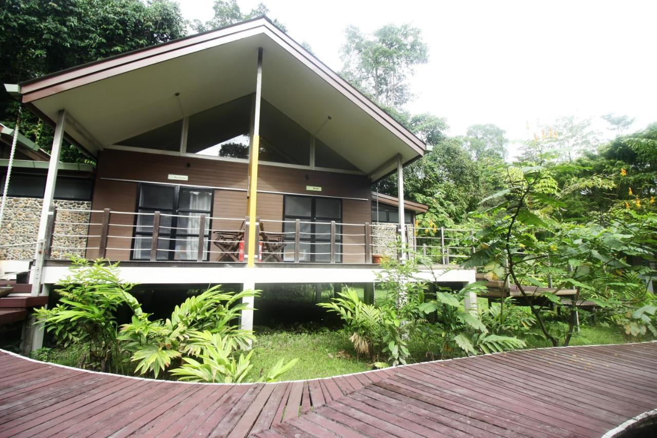 Mulu National Park Hotel Exterior foto