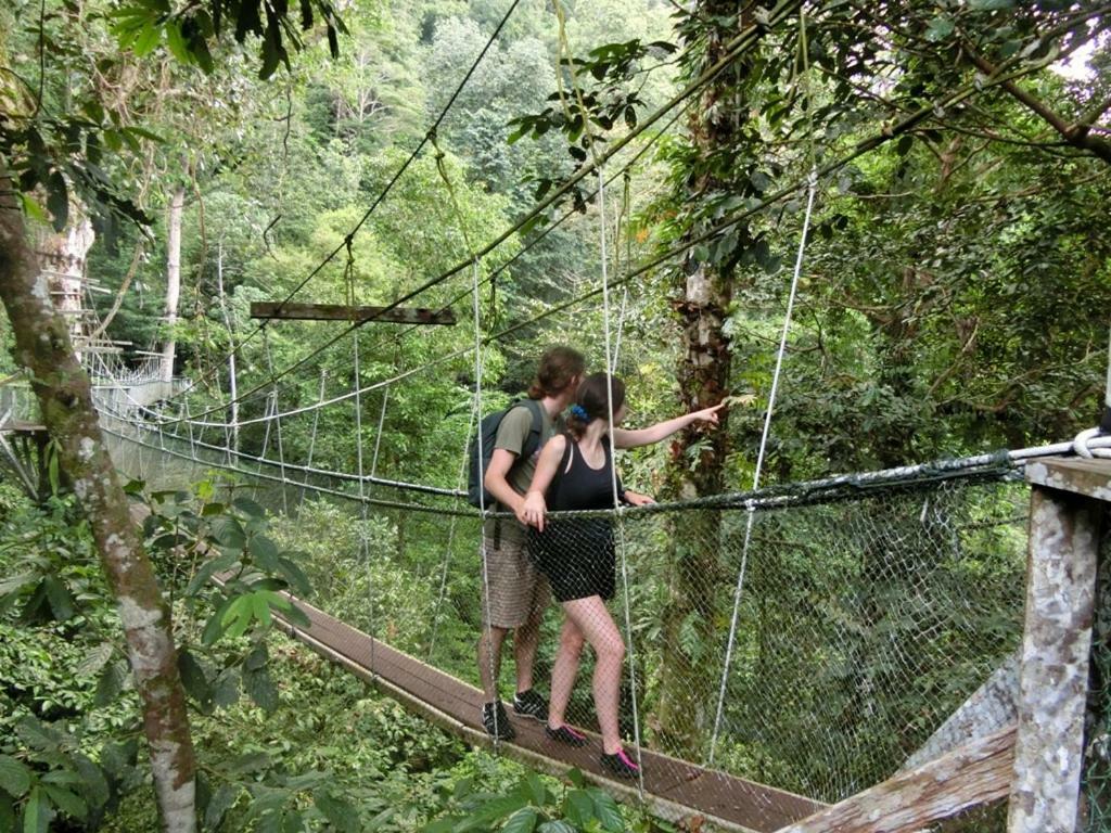 Mulu National Park Hotel Exterior foto